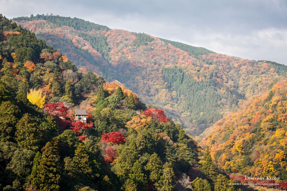 Mountain view of Senkō-ji temple in autumn.