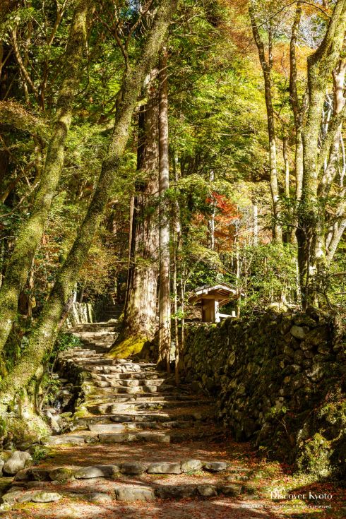 Forest and staircase at Kōsan-ji Temple.