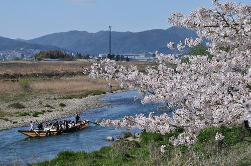 Hozugawa Kudari_1