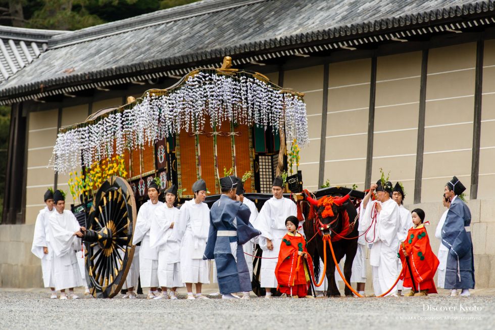 An ox cart makes its way during Aoi Matsuri at the Kamo Shrines.