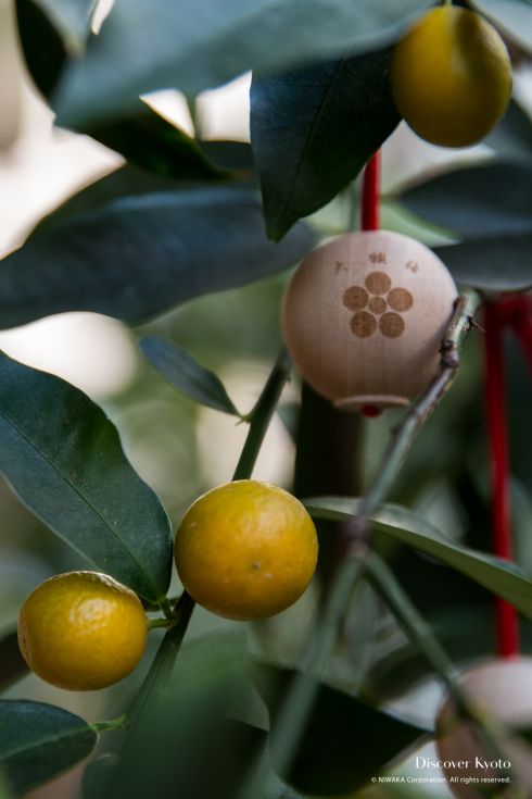 Nishiki Tenmangū Daigan Ume Wish