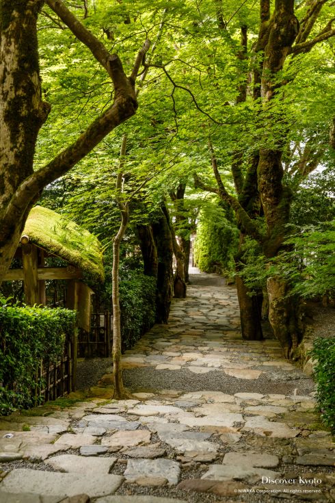 Staircase leading up to Jakkō-in.