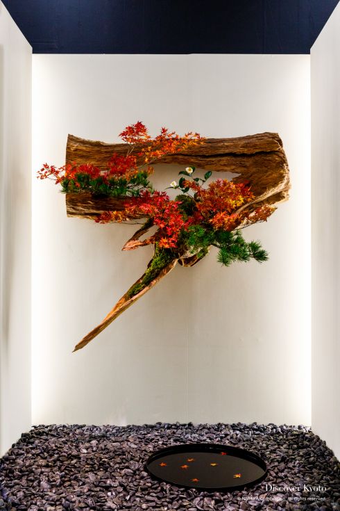 Ikenobo Ikebana Kyutanabata Wall