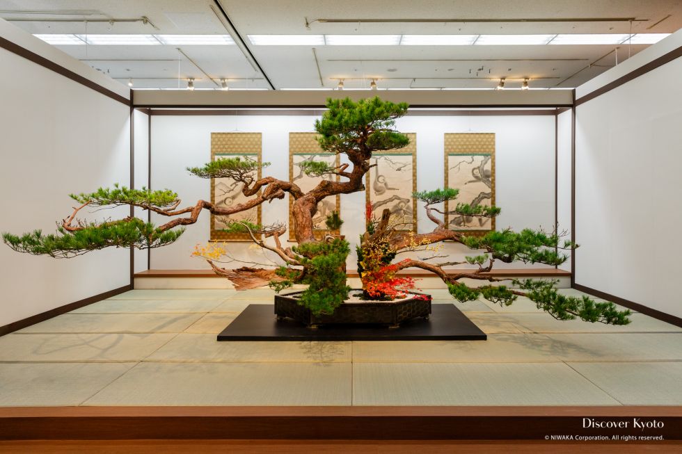 Ikenobo Ikebana Kyutanabata Flower and Sword