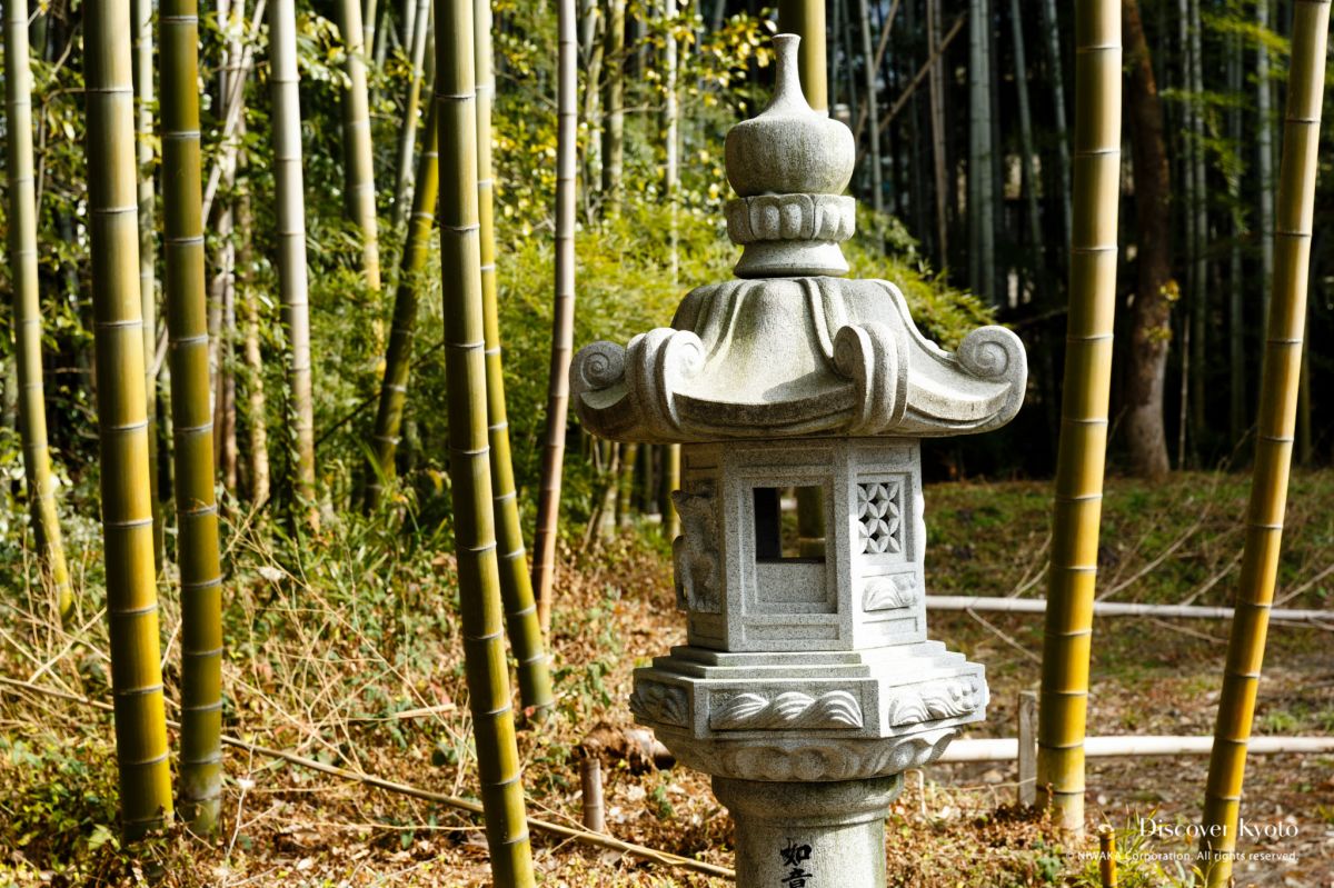 Zuishin-in Temple Movie Lantern