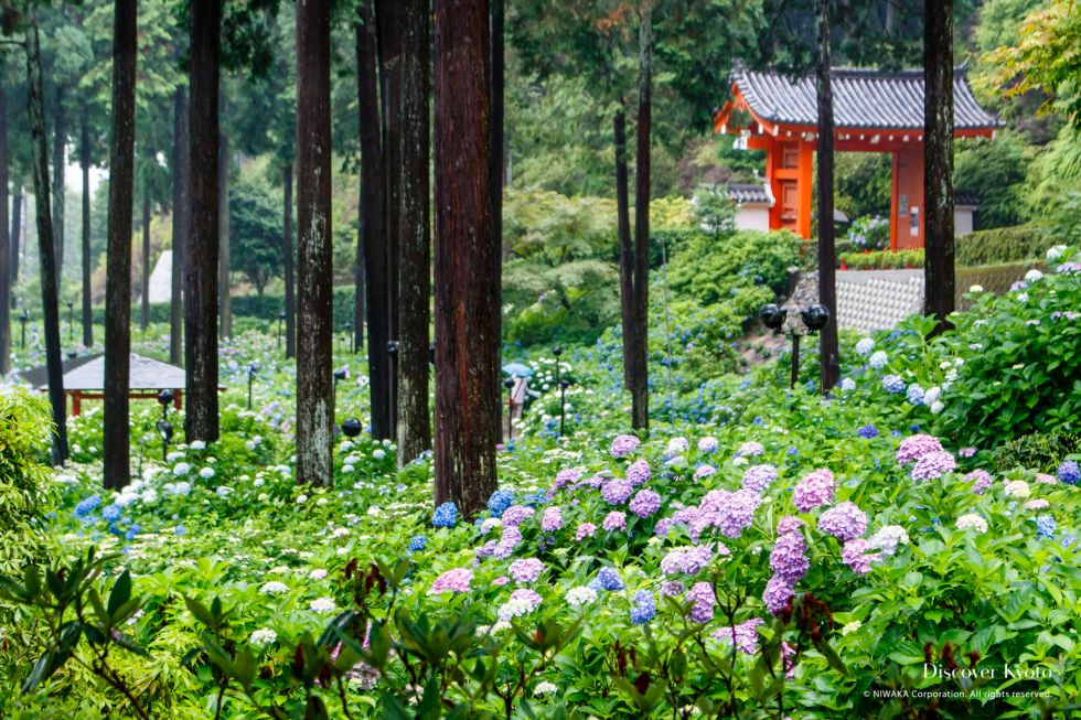 Mimuroto-ji