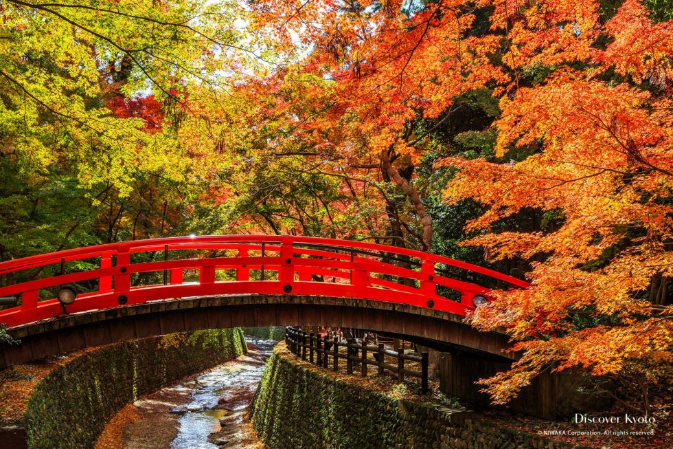 The red brige inside the garden at Kitano Tenmangu