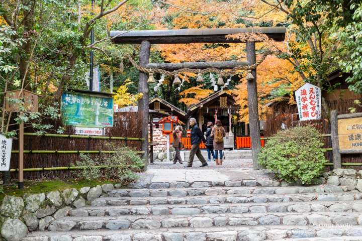 Nonomiya Shrine Torii Gate Autumn