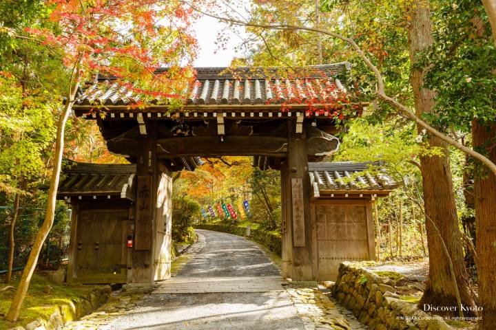 Sekizan Zen-in Autumn Gate Path