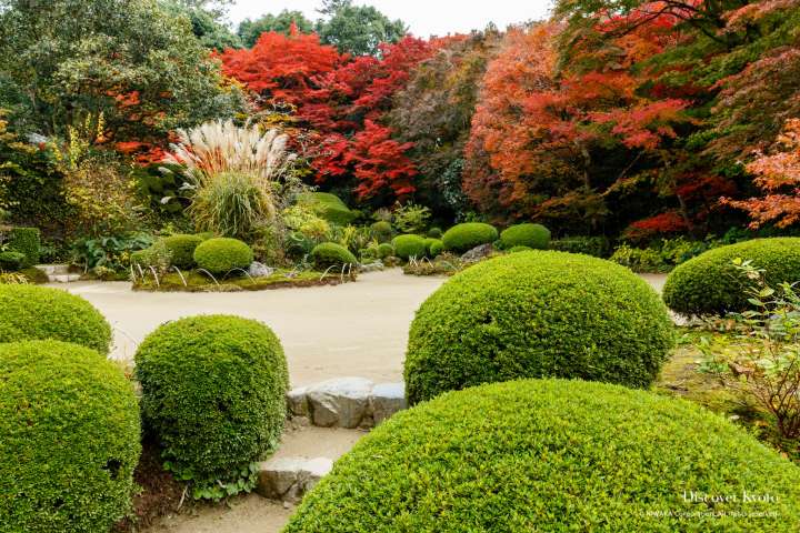 Autumn garden at Shisen-dō temple