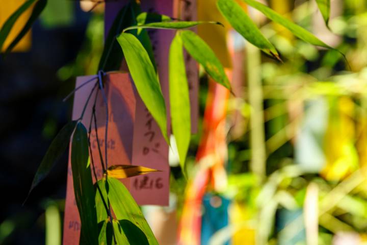 Kifune Tanabata Wish Coin