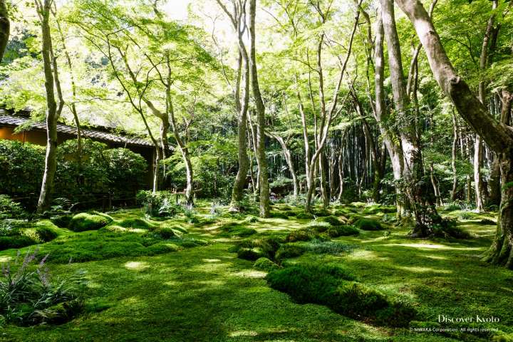 Stream and moss garden at Giō-ji.