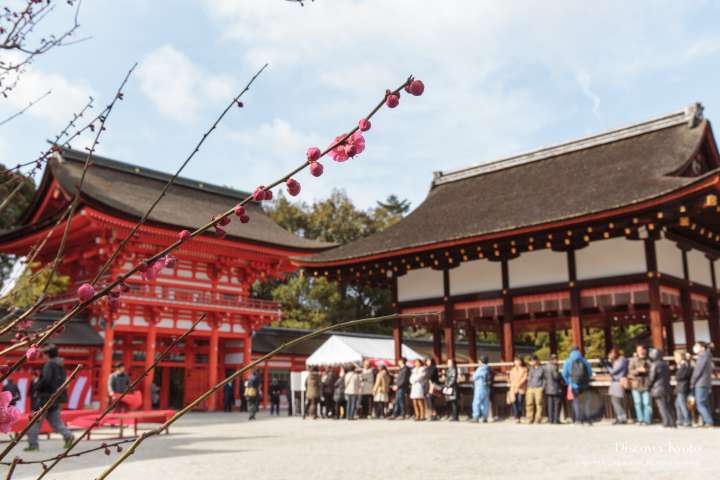 Plum blossoms and buildings during the Nagashibina at Shimogamo shrine.