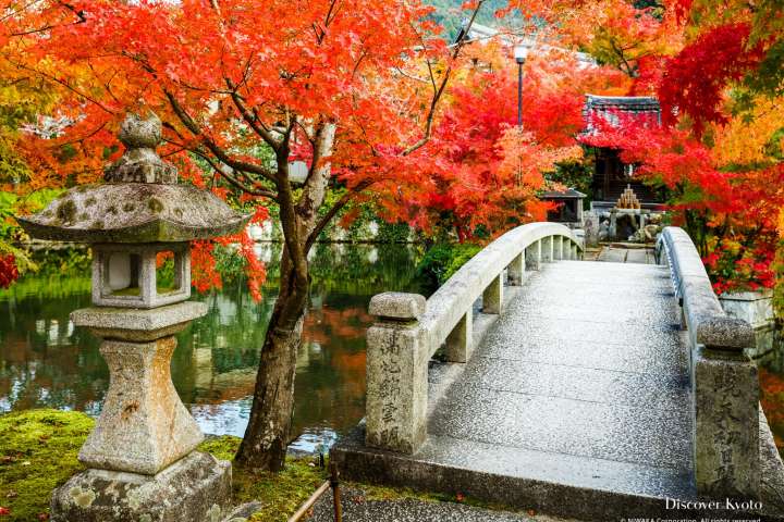 Bridge and autumn leaves at Eikan-dō temple.