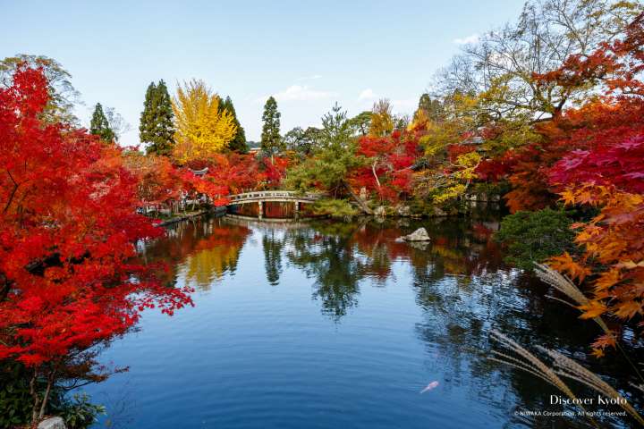 The Hōjō Pond at Eikan-dō temple in autumn.