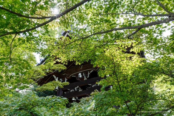 Rozan-ji Bell Maple Leaves