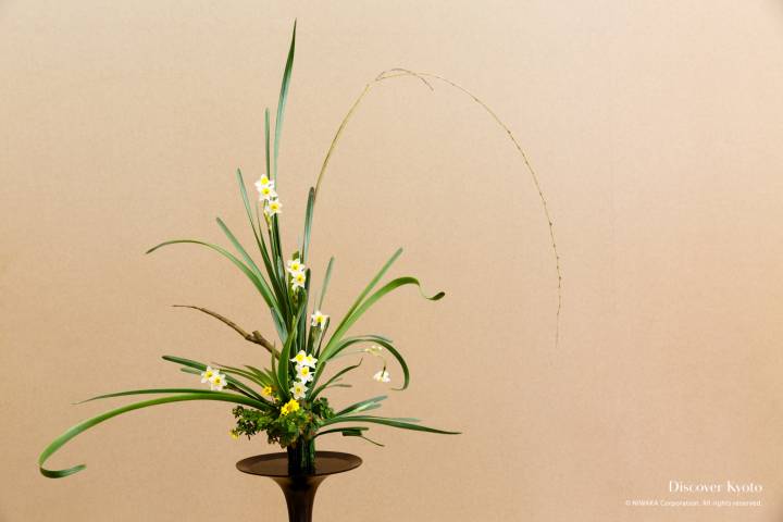 Ikenobo Ikebana Kyutanabata Narcissus