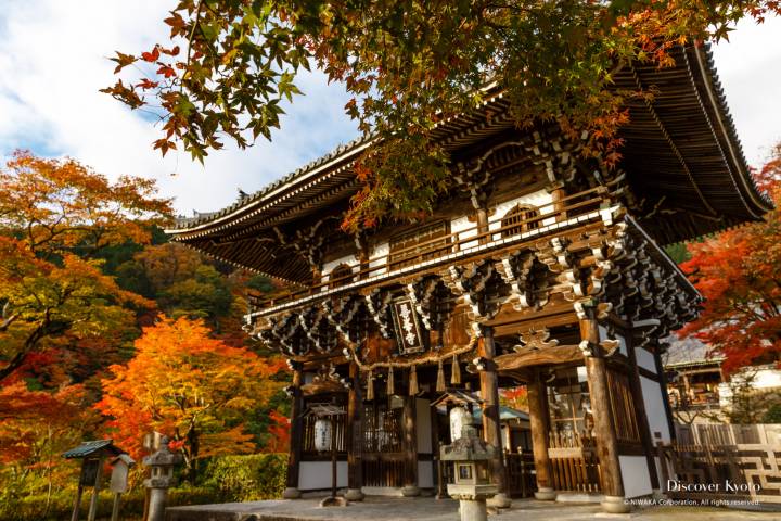 Yoshimine-dera Autumn Gate Color