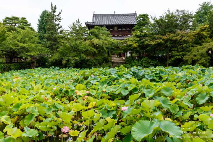 Main gate and pond at Manpuku-ji temple.