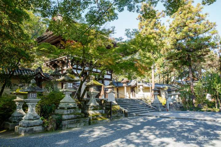 The gate and staircase at Matsuno'o Taisha.