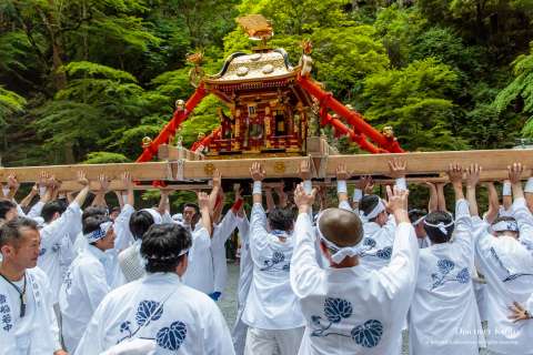 The omikoshi is lifted high during Kifune Matsuri at Kifune Shrine.
