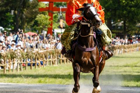 Kamo Kurabeuma horse gallop