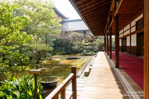 Honpō-ji Garden Side
