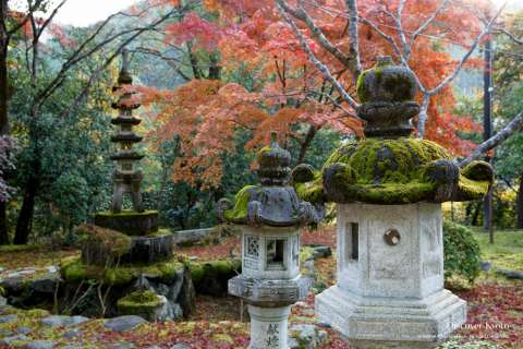 Lanterns and pagoda at Saimyō-ji temple in autumn.
