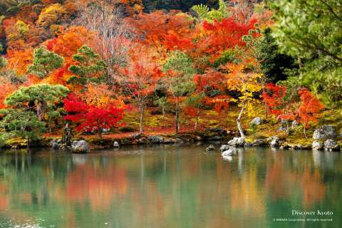 Tenryū-ji's Sōgen Pond in autumn.