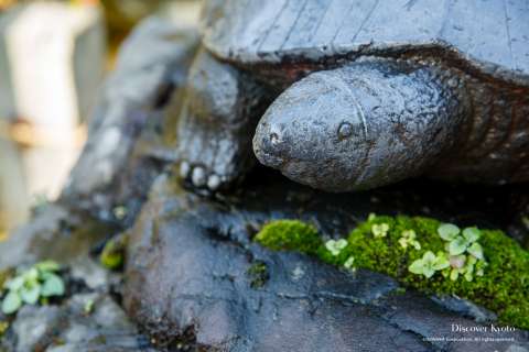 Turtle statue at Matsuno'o Taisha.