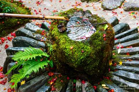 The Hōraku-en garden at Hōsen-in