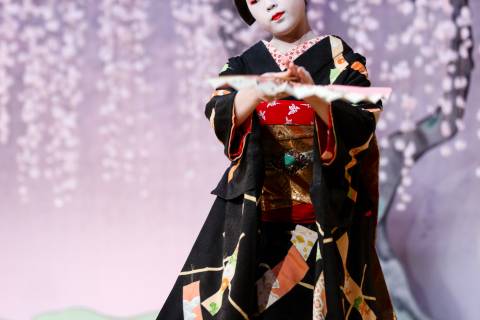 Kotobuki-kai Fan Flowers