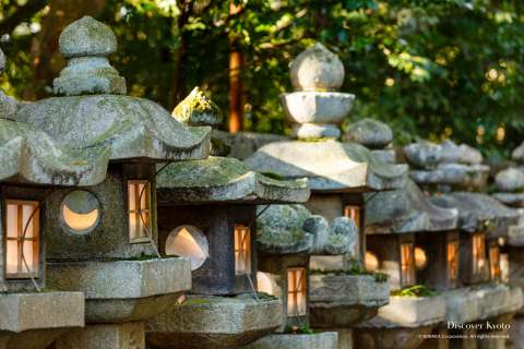 Stone lanterns at Iwashimizu Hachimangū.