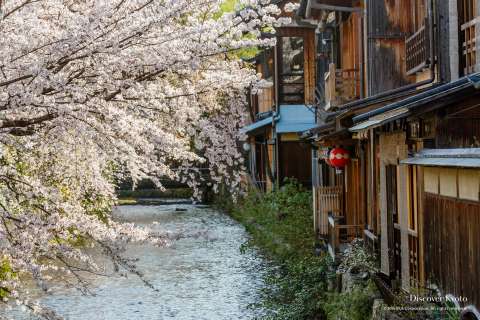 River Beside Shirakawa Street