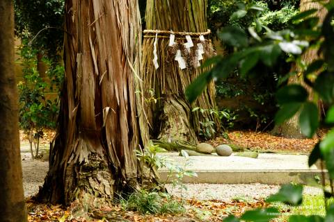 Umenomiya Taisha Rock Matage