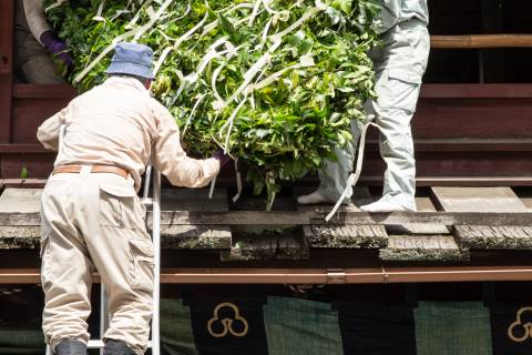 Sakaki leaves and paper decoration for the Hōkaboko float during the Gion Matsuri.