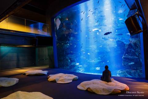 Kyoto Aquarium Sea of Kyoto