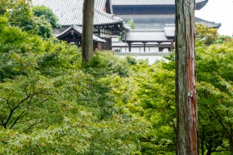 View of the Abbot's Quarters at Tōfuku-ji temple.