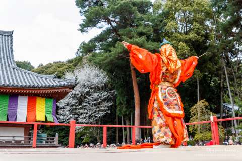 A bugaku performance during Hōtaikō Hanami Gyōretsu at Daigo-ji. 