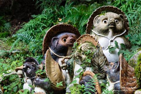 Tanuki statues during the Aki Matsuri at Tanukidani-san Fudō-in.