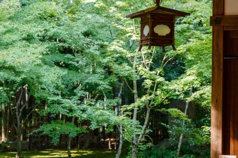 Kōtō-in Garden Lantern