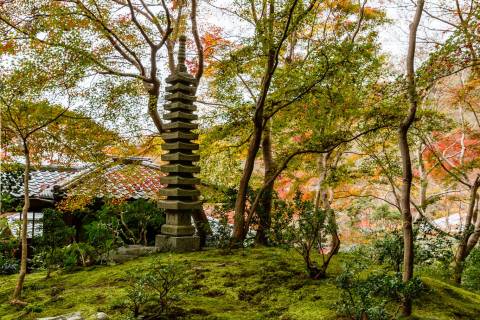 Rurikō-in Fall Colors Variety