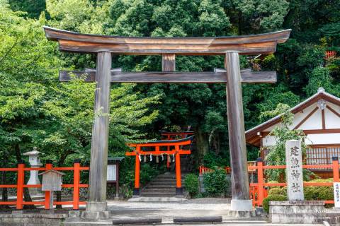 Kenkun Shrine Torii Gate Wood Forest