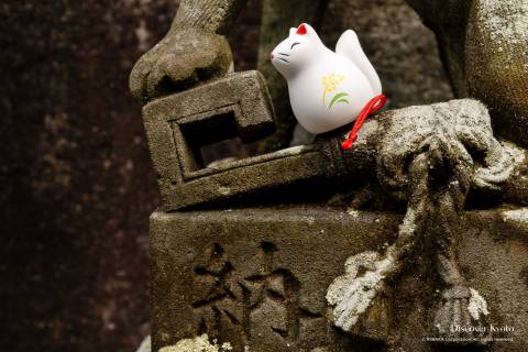 Omikuji Araki Shrine Fox Fortune 02