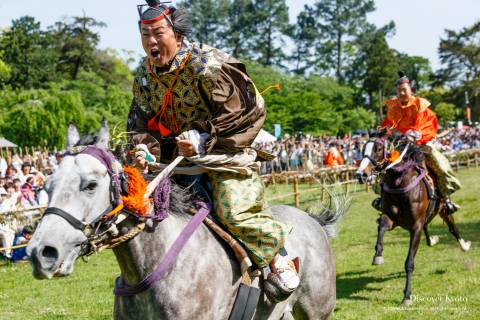 Kamo Kurabeuma Horse Race Distance