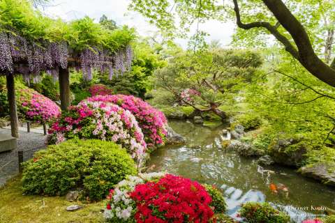 The Muromachi Garden at Jōnangū shrine.