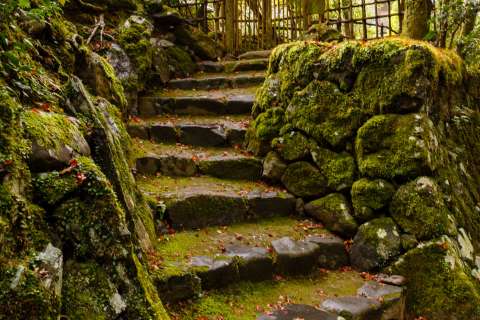 Forest staircase at Kōsan-ji Temple.