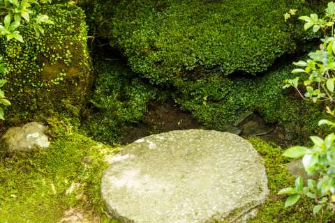 Moss covered water basin at Ōkōchi Sansō.