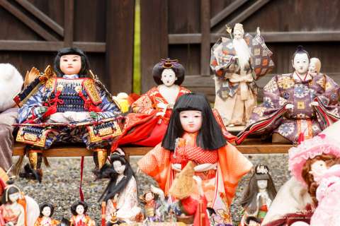 京都書院「人形」 西洋人形」 人形 THE DOLL 6 京都書院 - メルカリ