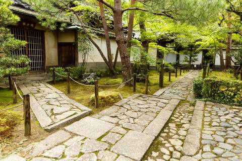 Keishun-in Entrance Path Moss